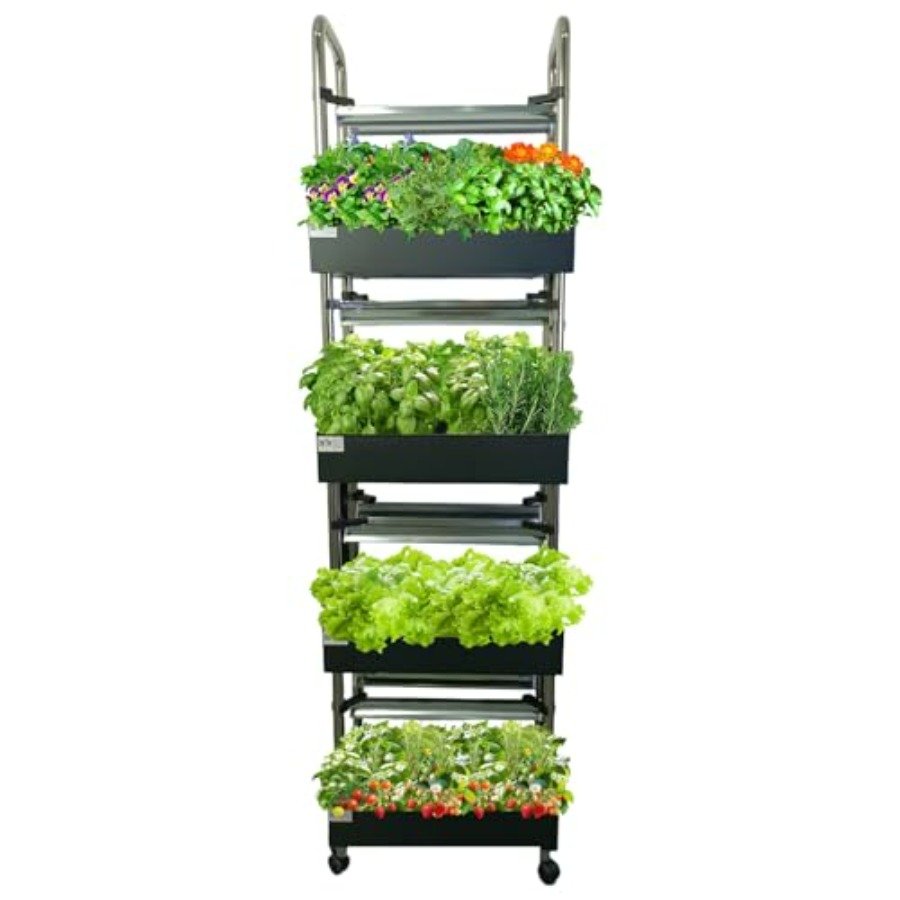 Smart Garden Water - Sistema de cultivo hidropônico interno: jardim