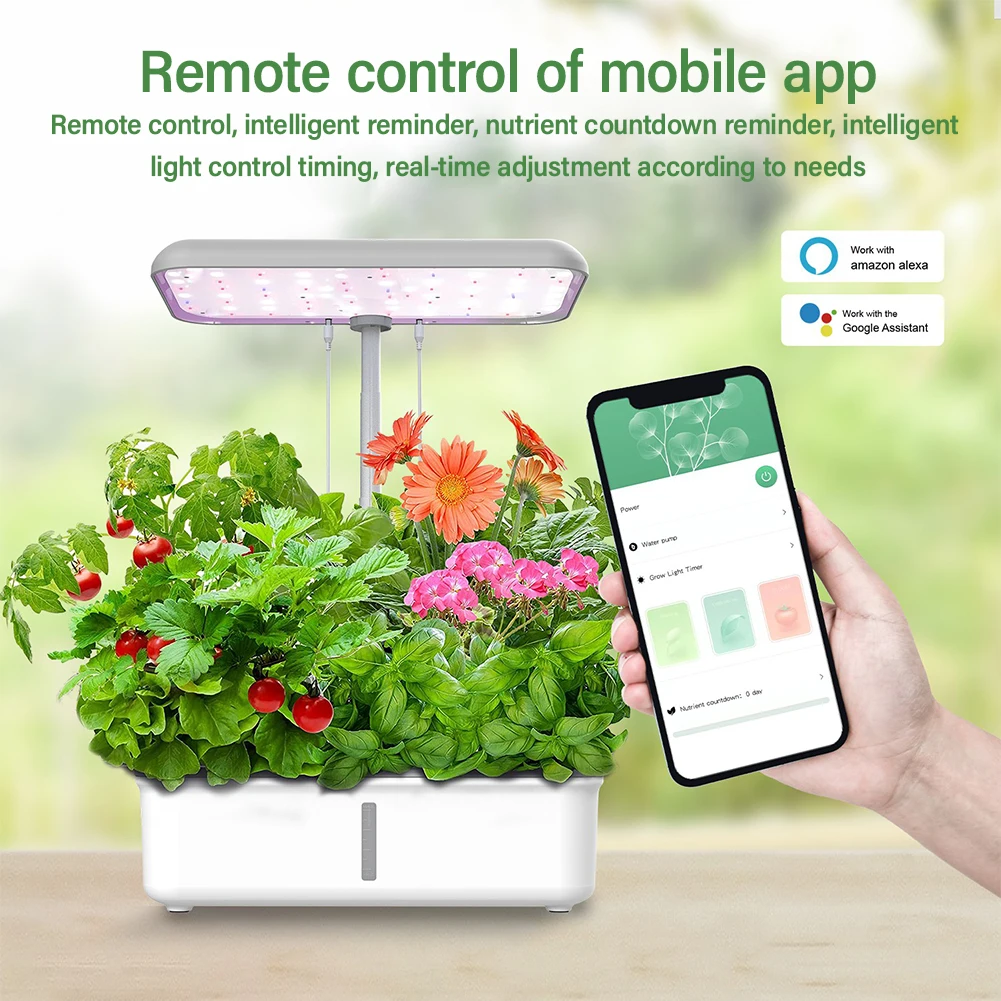 Hidroponia interior planta cre - Smart Garden Click And Grow avaliação e preço