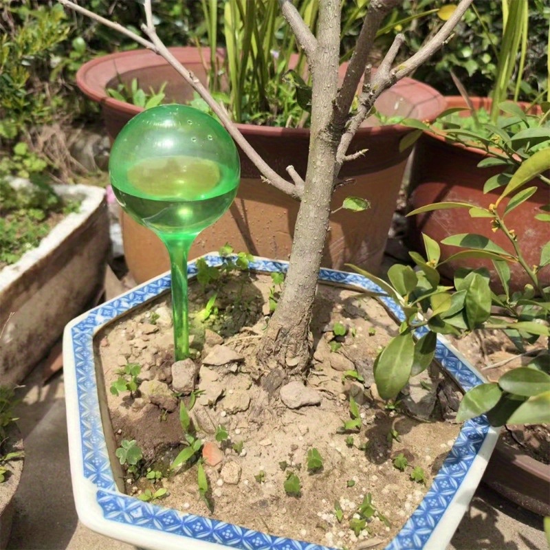 6PCS Bolas de Irrigação Automá - Smart Garden Auk avaliação e preço