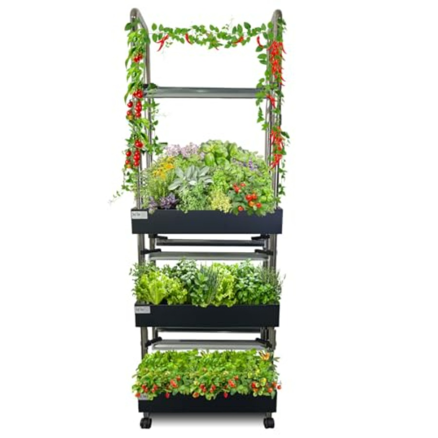 Sistema de cultivo hidropônico - Smart Garden Water avaliação e preço