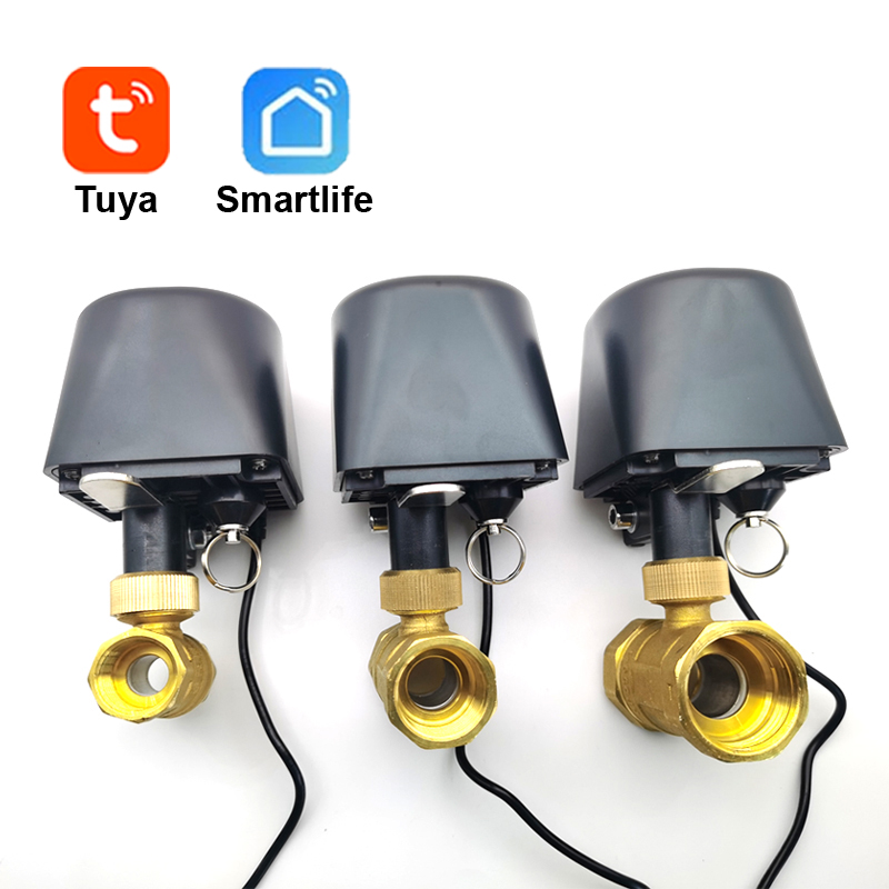 Tuya wifi ou zigbee válvula de - Smart Garden Water avaliação e preço